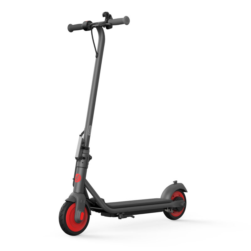 Segway Ninebot eKickScooter ZING C20 Gray