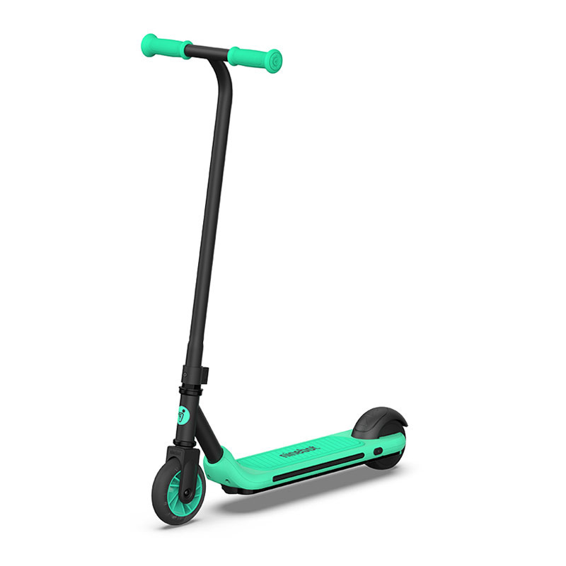 Segway Ninebot eKickScooter ZING A6 Black-Green