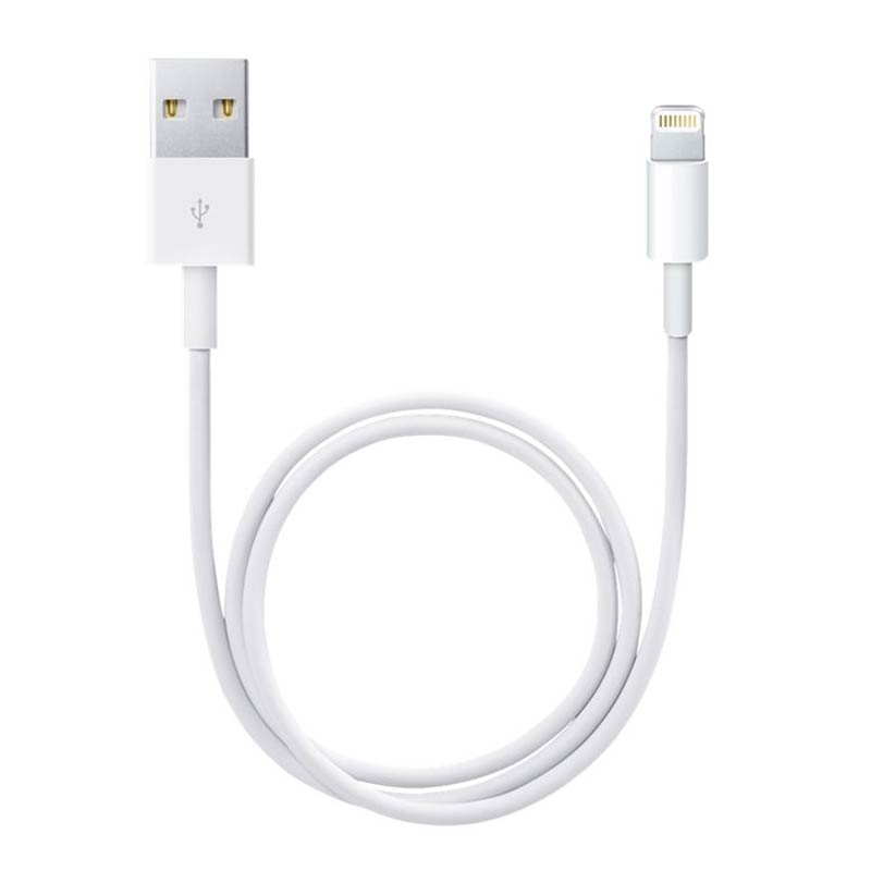 Apple Lightning to USB Cable (0.5m)